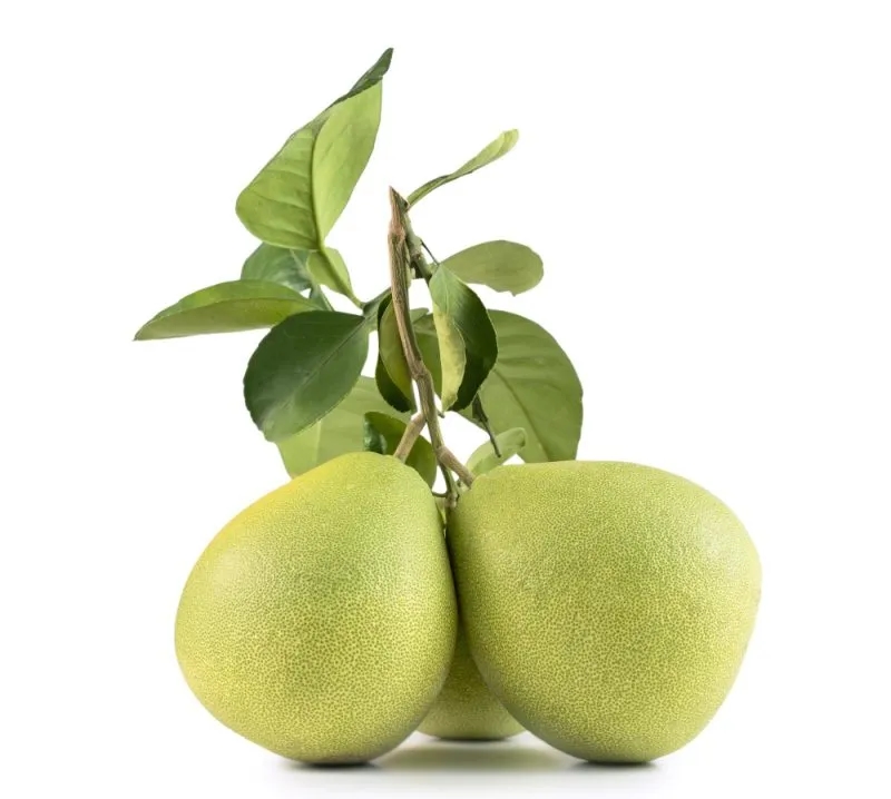 Pomelo ile kalorii - poznaj niskokaloryczny owoc idealny na dietę