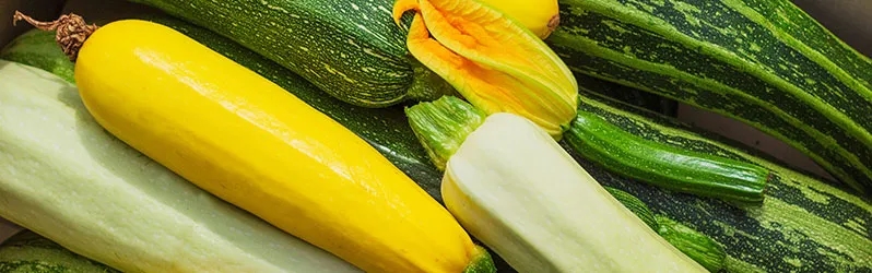 Co zrobić z cukini na obiad? Proste i smaczne przepisy na dania