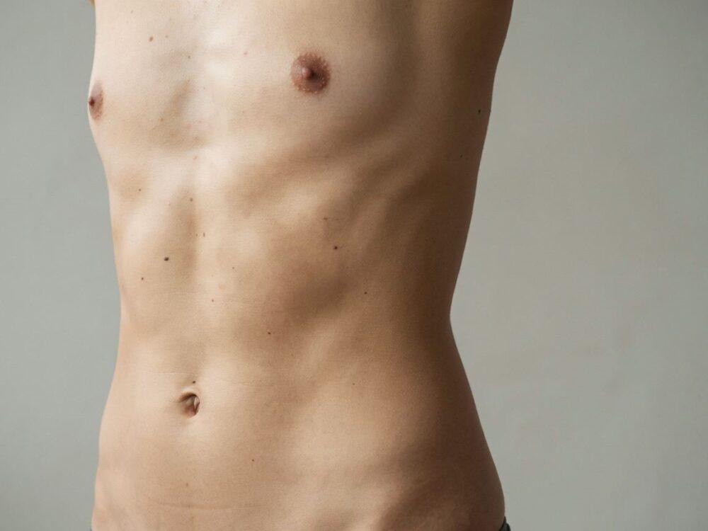 model anatomiczny z tłuszczem